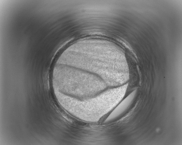 X0000070190782200606232011