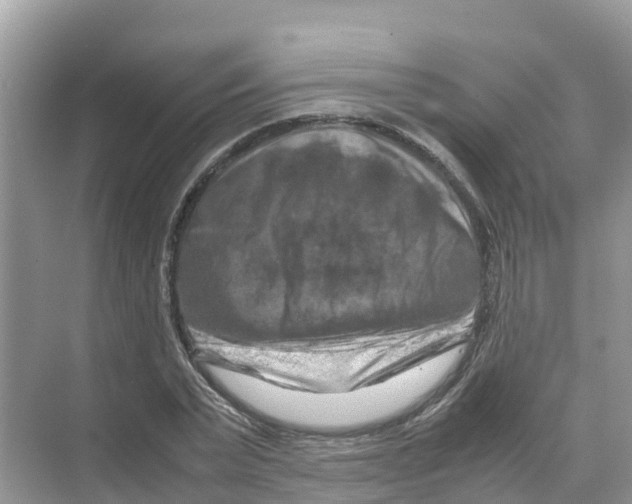 X0000070190783200606232011