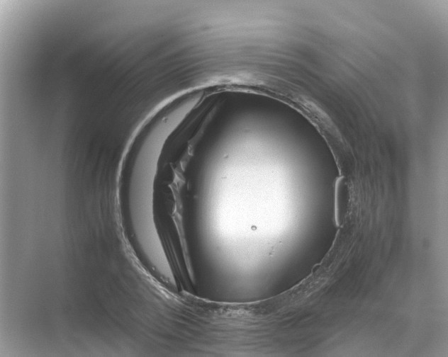 X0000070190784200606232011