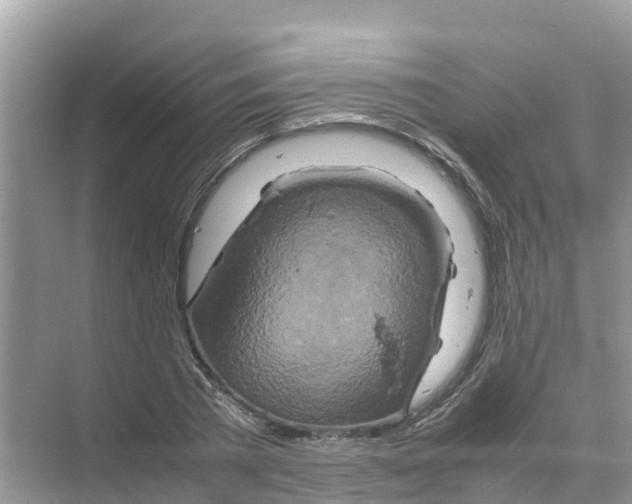 X0000070190785200606232011