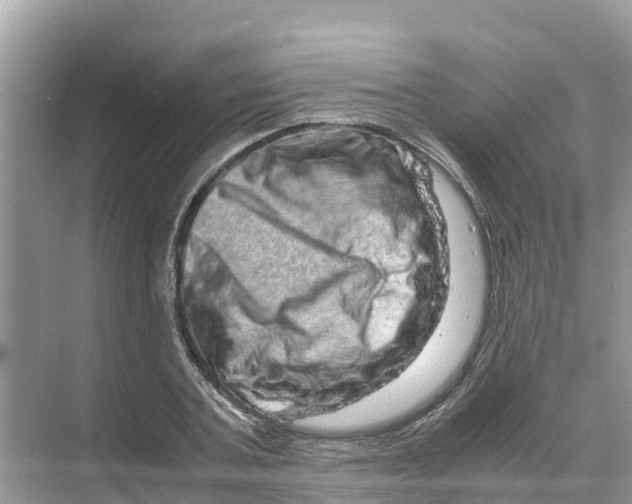 X0000070190787200606232011