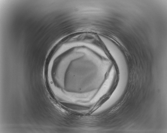 X0000070190788200606232011