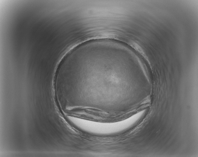 X0000070190789200606232011