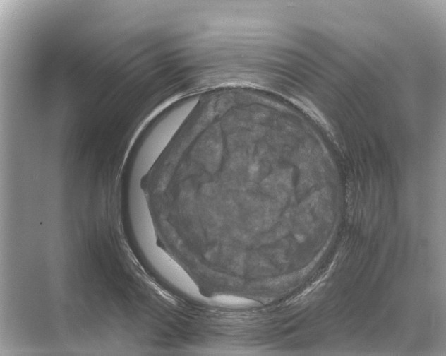 X0000070190790200606232011