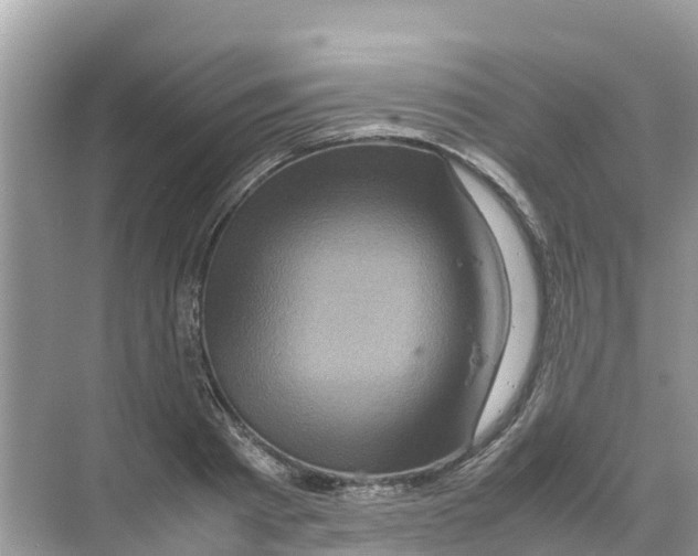 X0000070190793200606232011