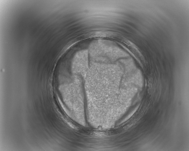 X0000070190794200606232011