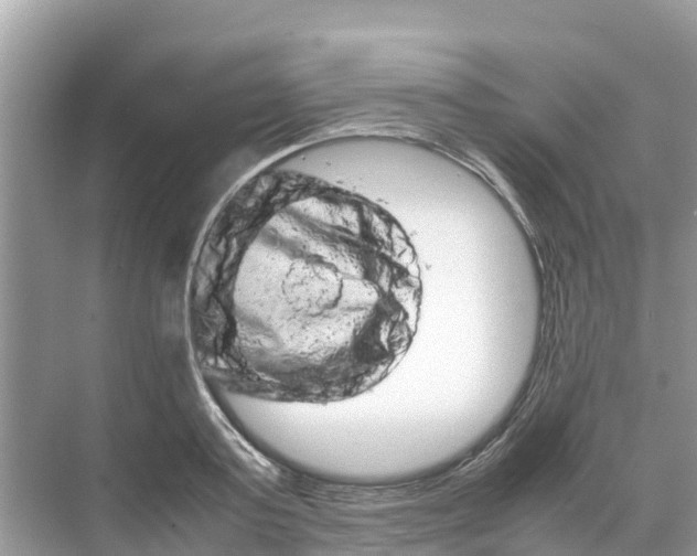 X0000070190795200606232011