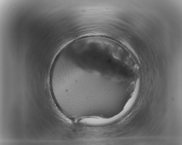 X0000070190797200606232011