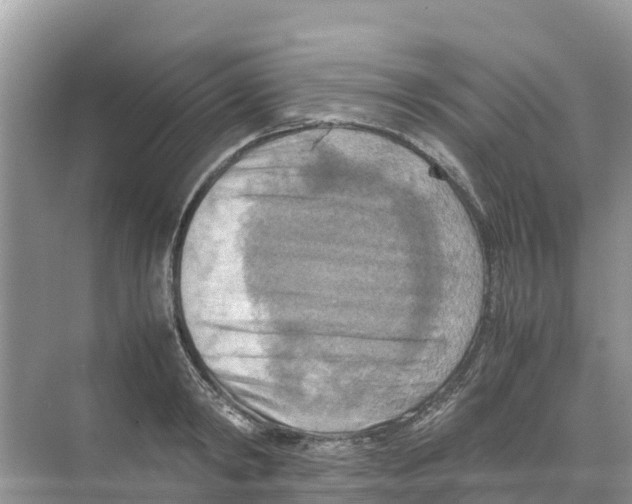 X0000070190798200606232011