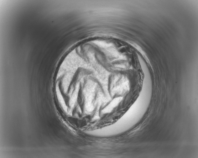 X0000070190799200606232011