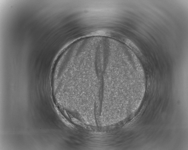 X0000070190800200606232011