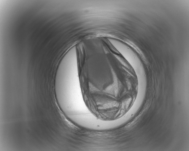 X0000070190801200606232011