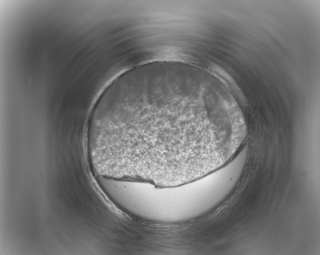 X0000070190804200606232011