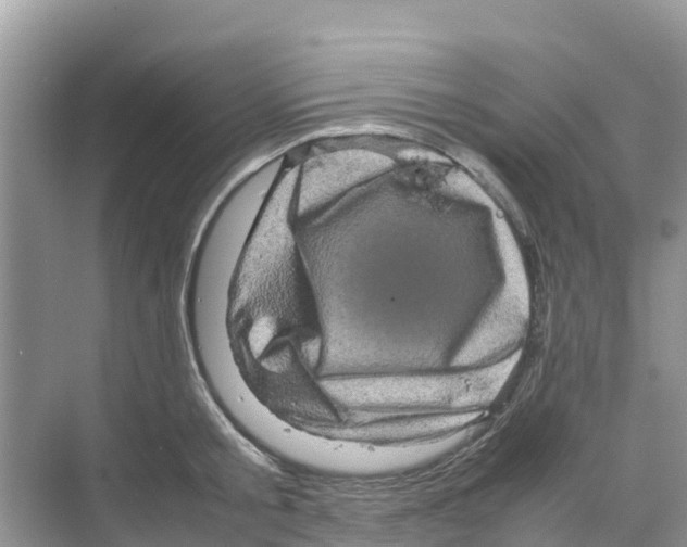 X0000070190805200606232011