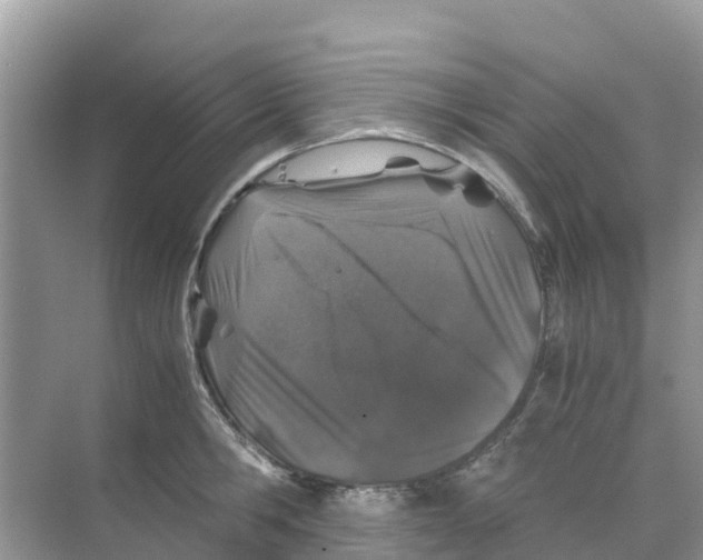 X0000070190806200606232011