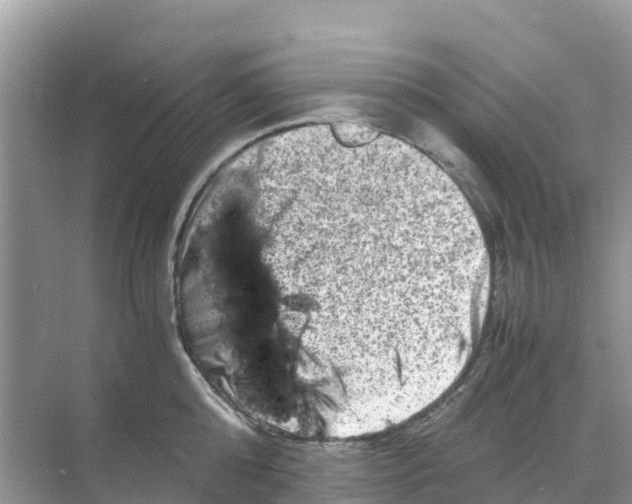 X0000070190808200606232011