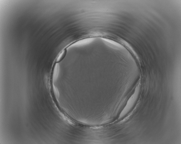 X0000070190810200606232011