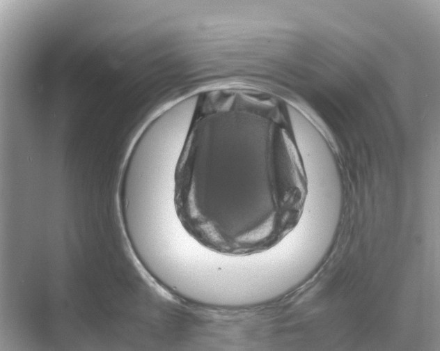 X0000070190813200606232011