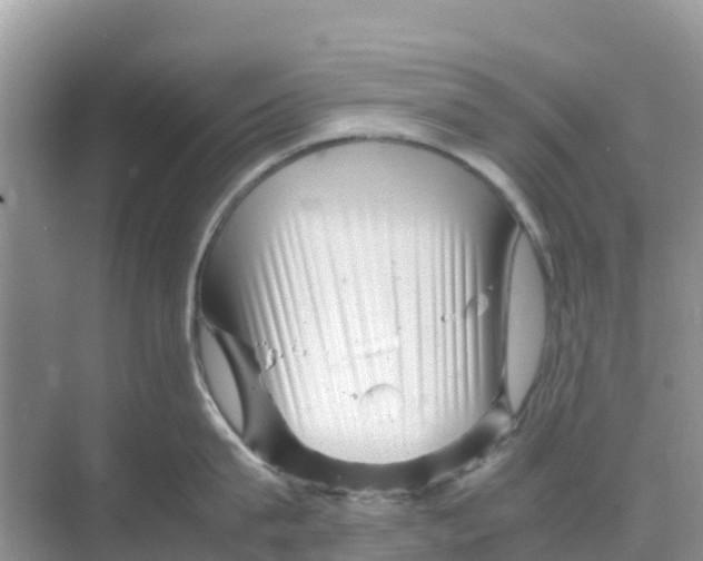 X0000070190815200606232011