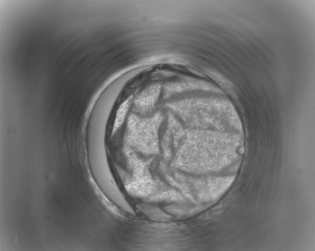 X0000070190816200606232011