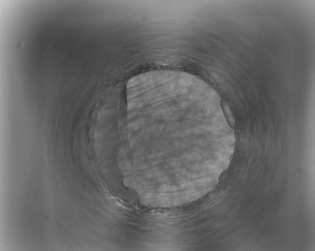 X0000070190817200606232010