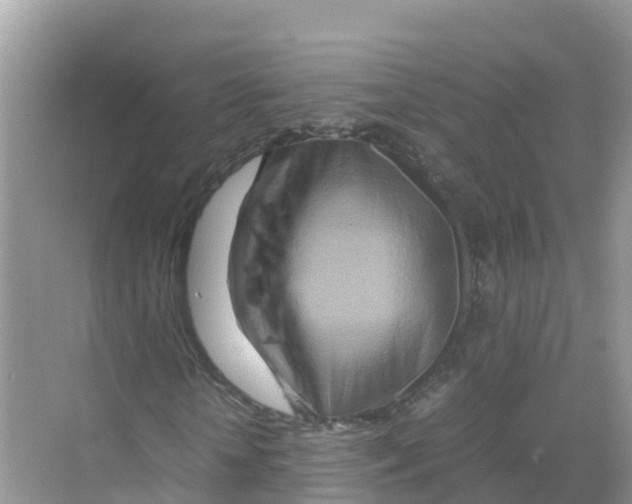 X0000070190818200606232010