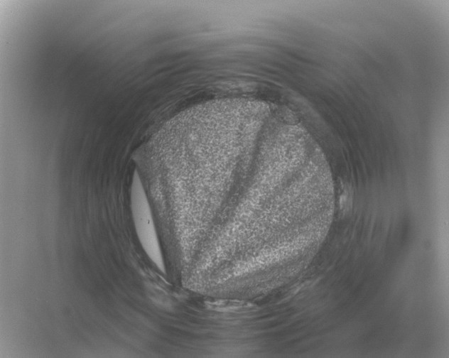 X0000070190819200606232010