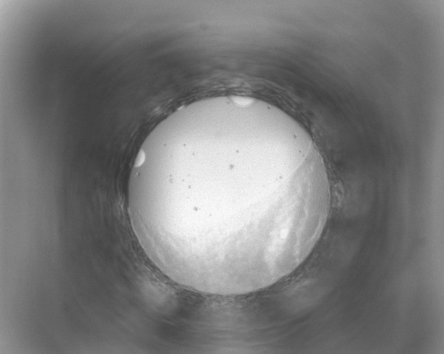 X0000070190820200606232010