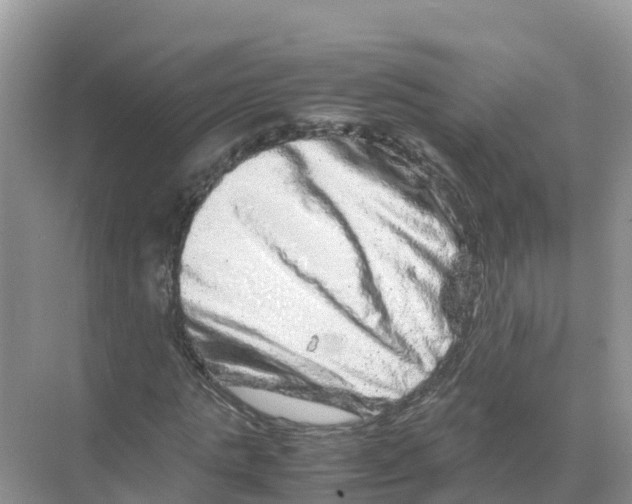 X0000070190821200606232010