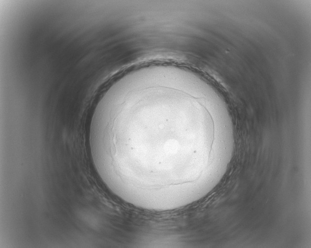 X0000070190824200606232010