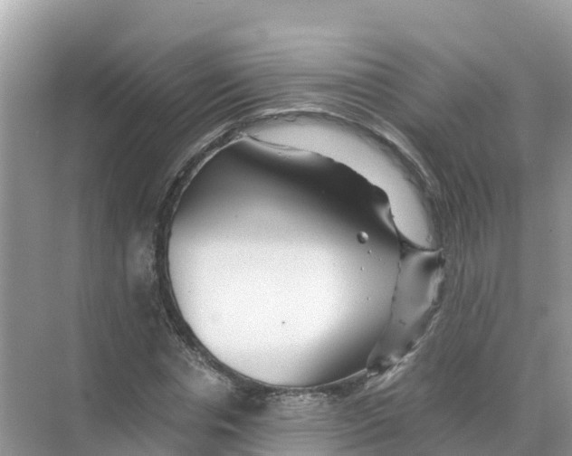 X0000070190826200606232010