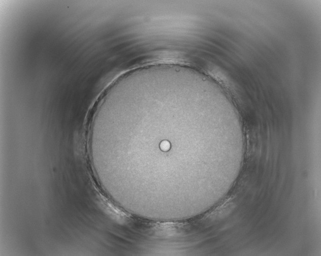 X0000070190828200606232010