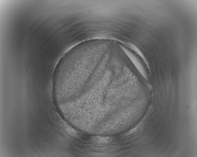 X0000070190831200606232010