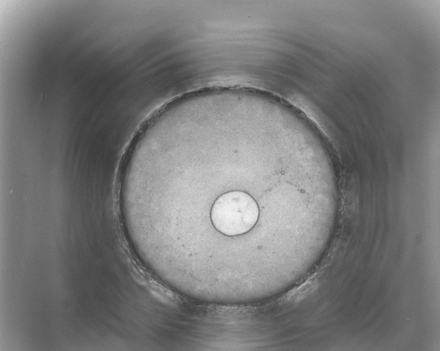 X0000070190832200606232010