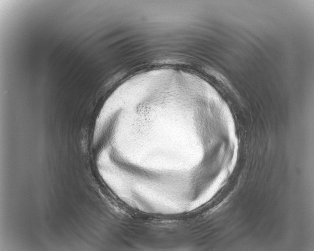 X0000070190833200606232010