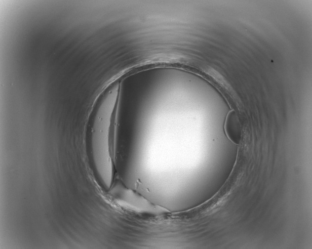 X0000070190834200606232010