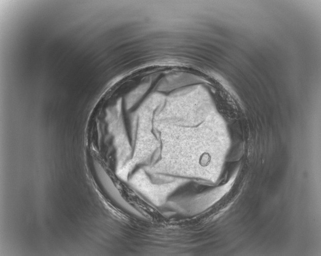 X0000070190837200606232010