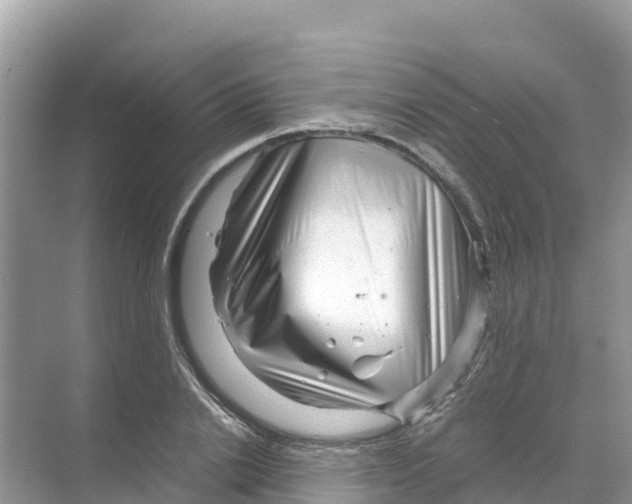 X0000070190838200606232010