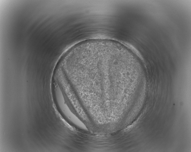 X0000070190839200606232010