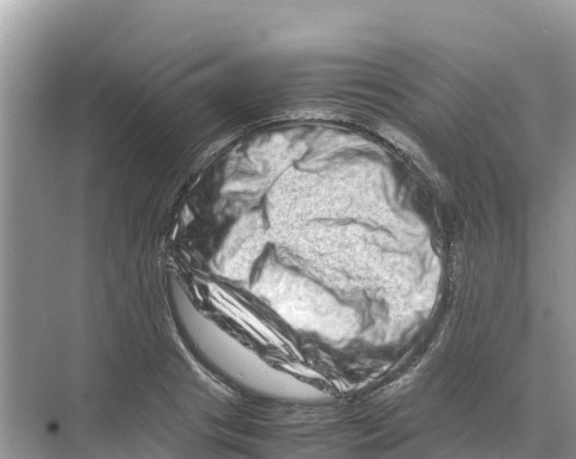 X0000070190841200606232010