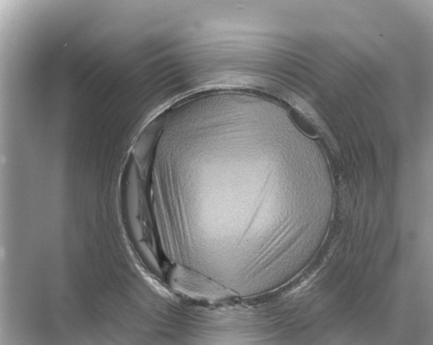 X0000070190842200606232010