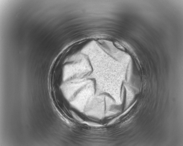 X0000070190843200606232010