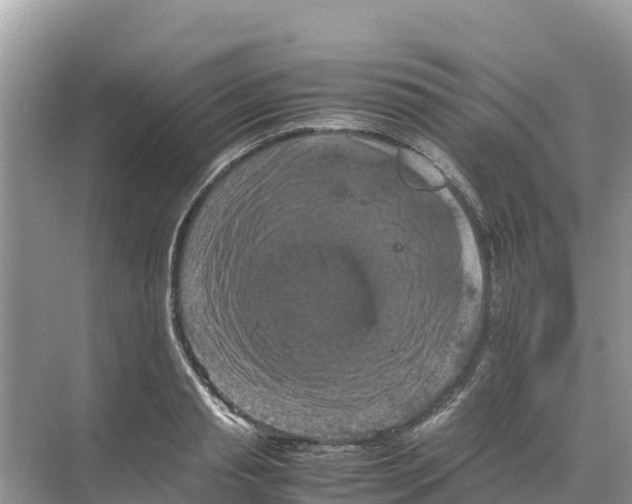 X0000070190845200606232010