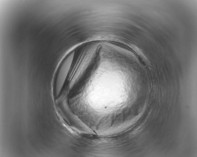 X0000070190846200606232011