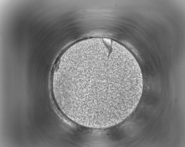 X0000070190848200606232011