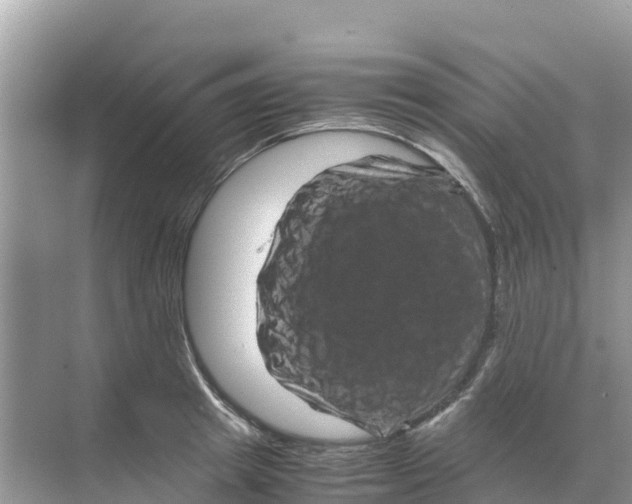 X0000070190849200606232011