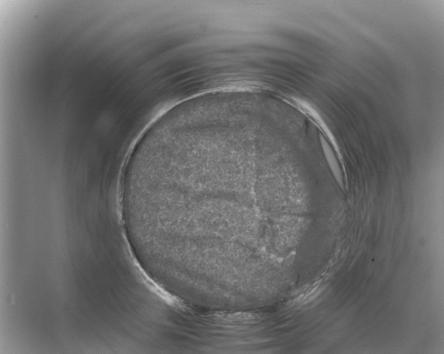 X0000070190851200606232011