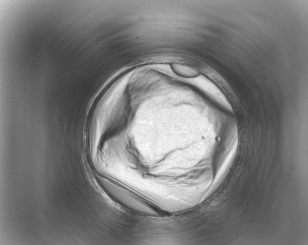 X0000070190852200606232011