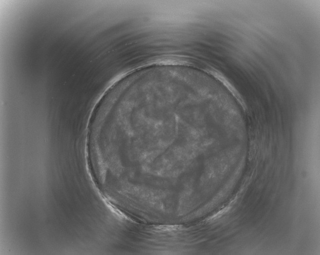 X0000070190853200606232011