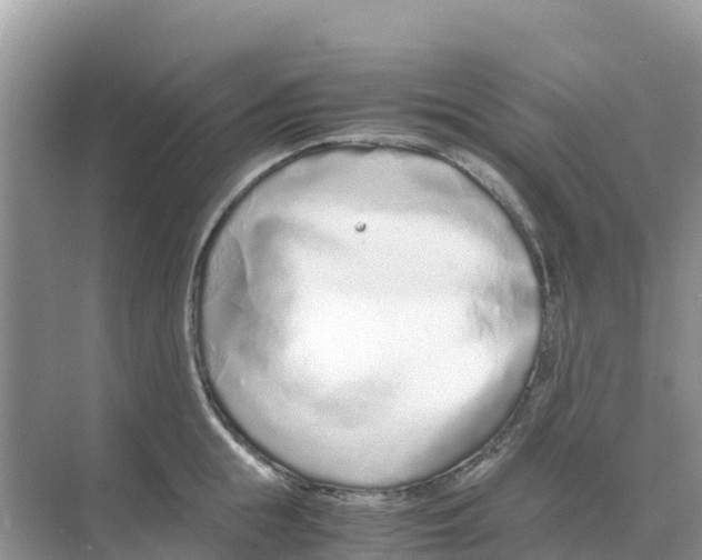 X0000070190855200606232011